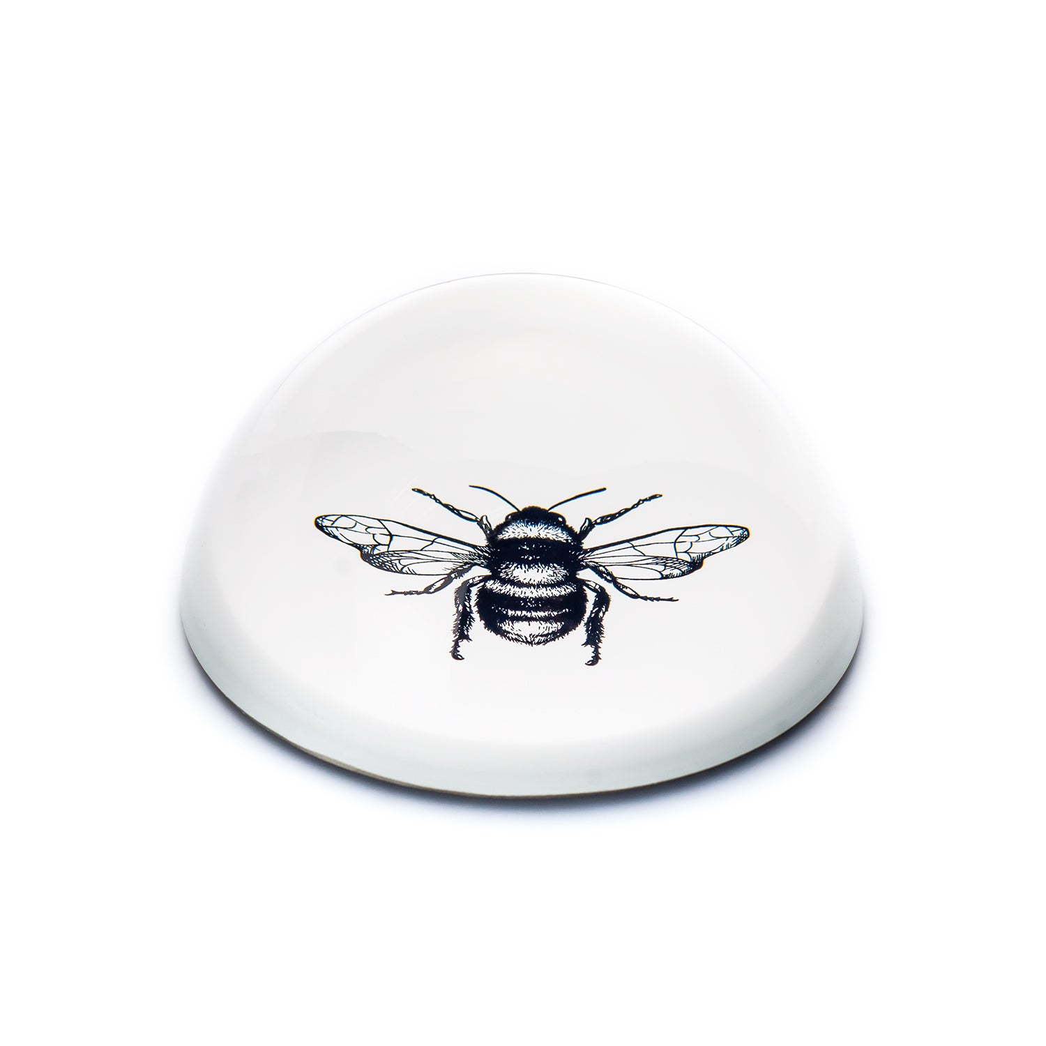 Single Paperweight Stone