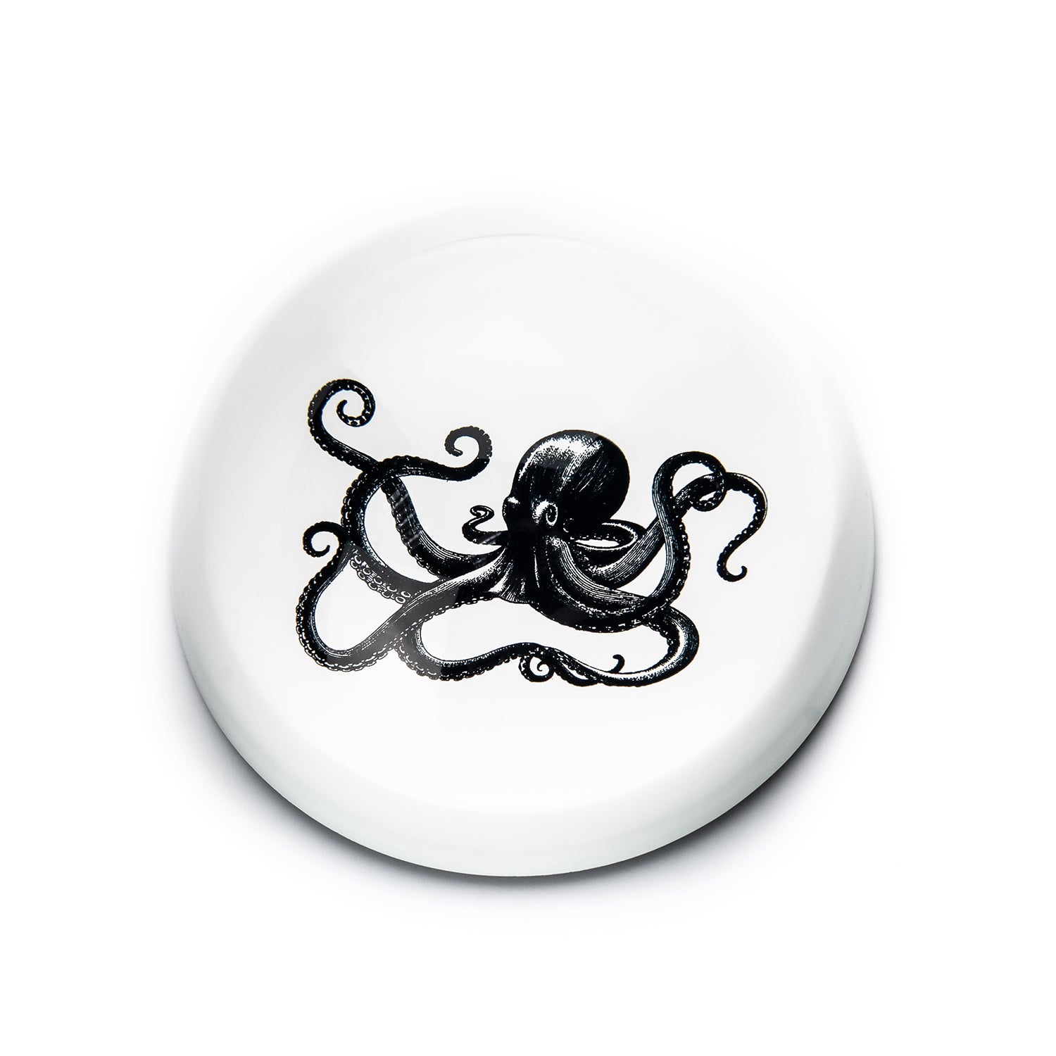 Single Paperweight Stone