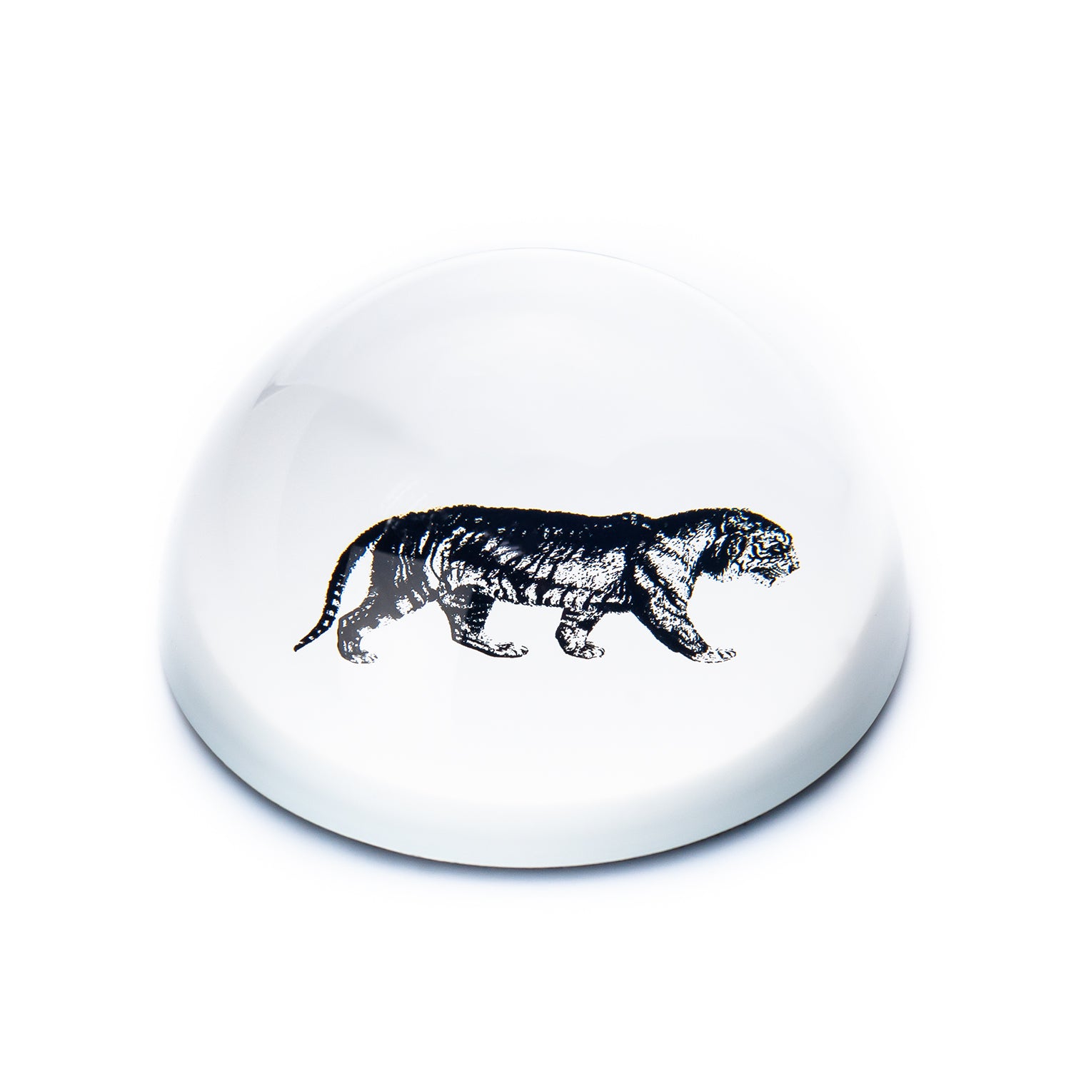 Single Paperweight Stone