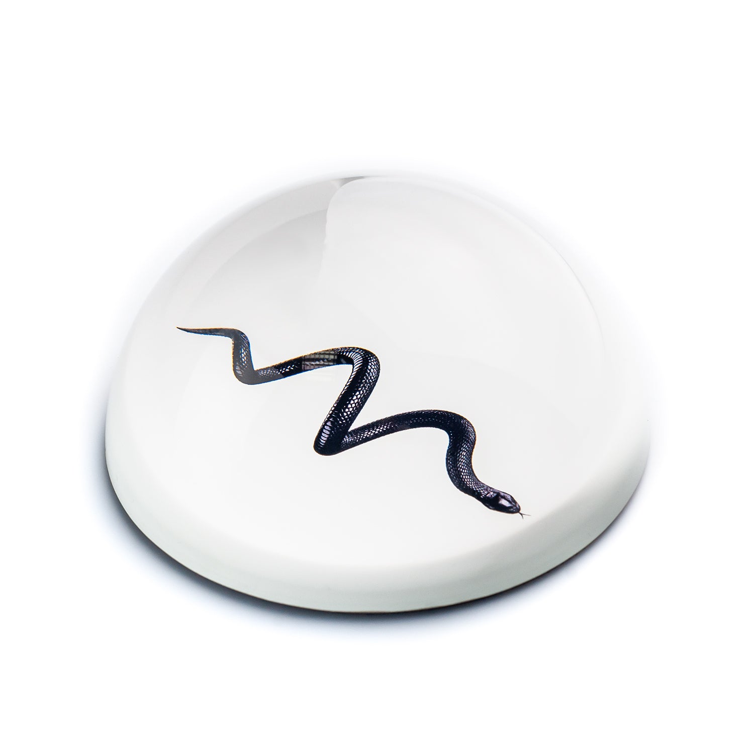 Single Paperweight Stone