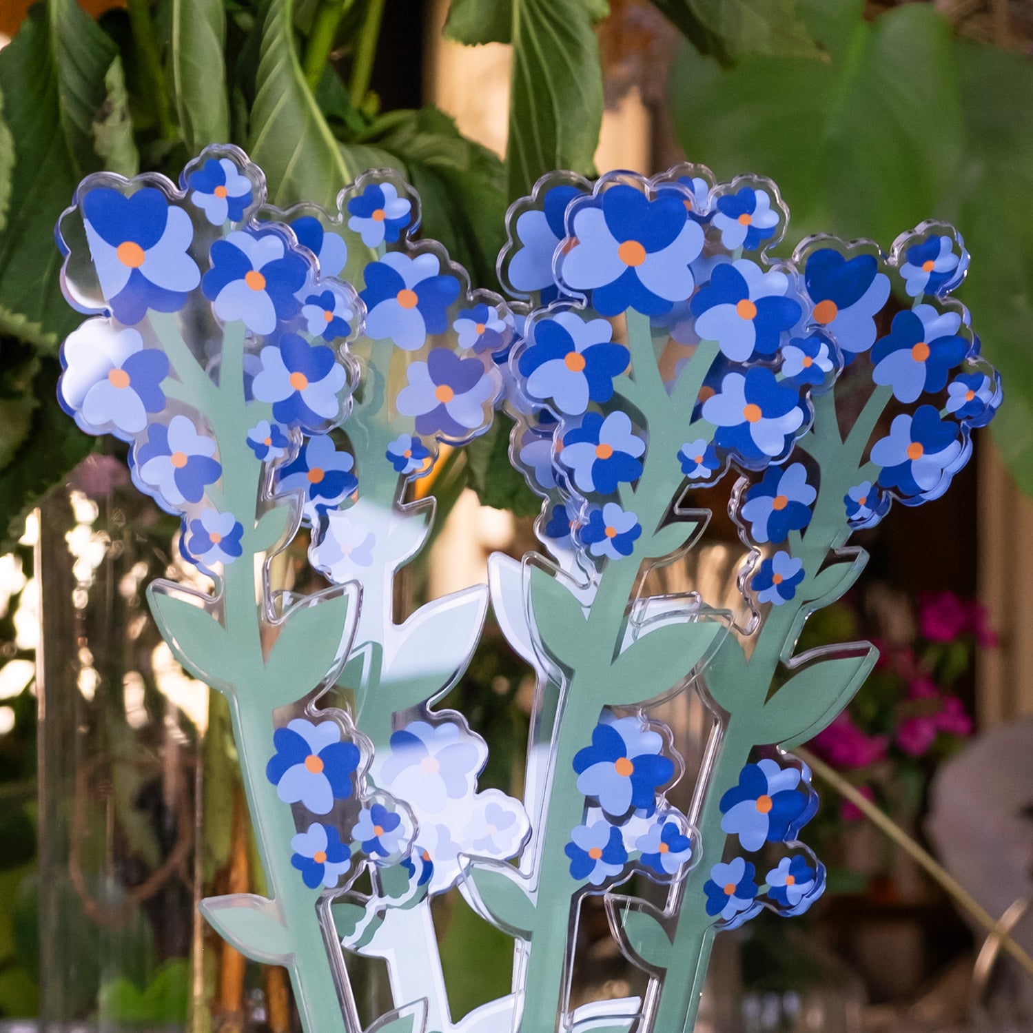 Small Single Forget-Me-Not Funny Flowers