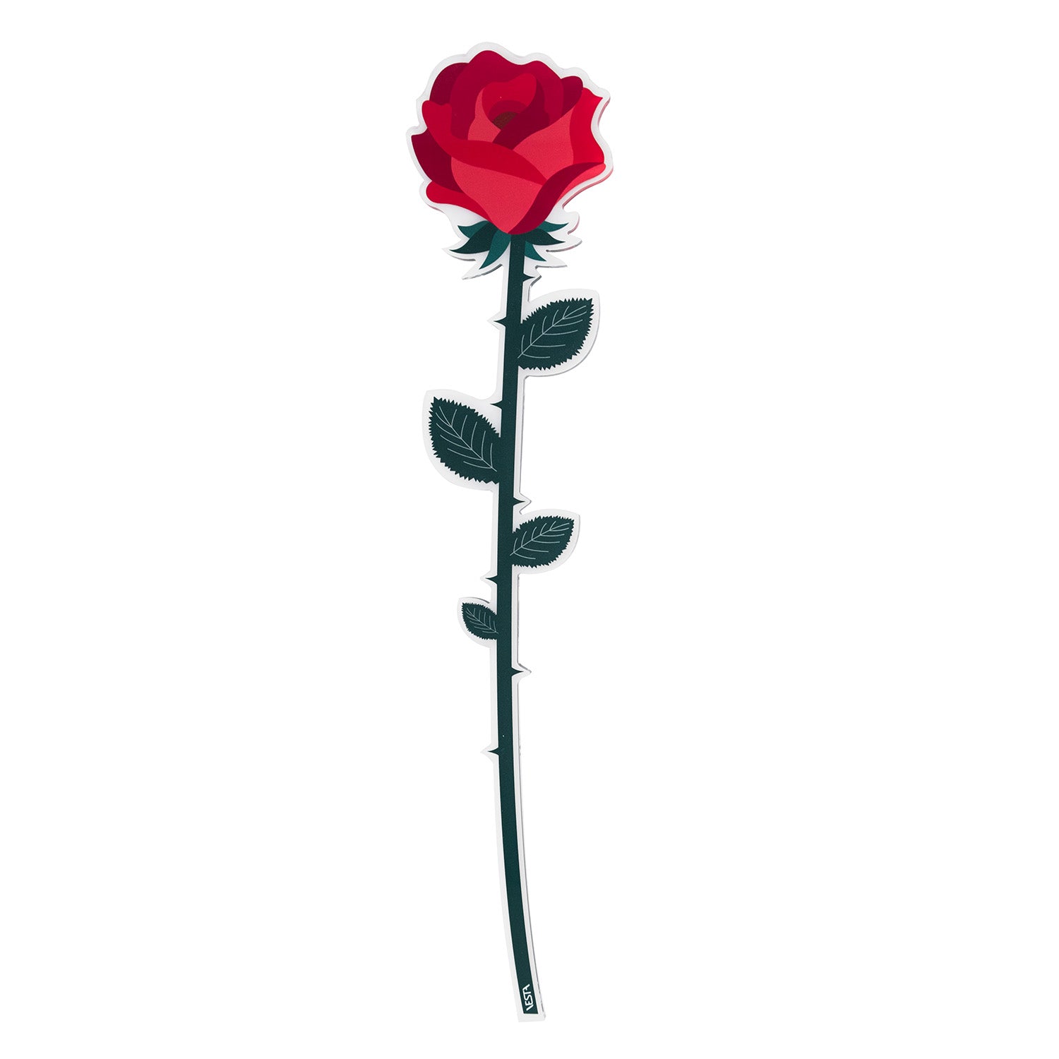 Rose Single Large Funny Flowers