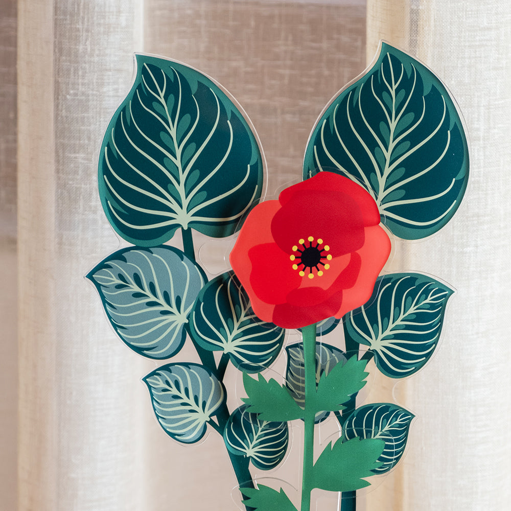 Small Single Green Maranta Leaf Funny Flowers