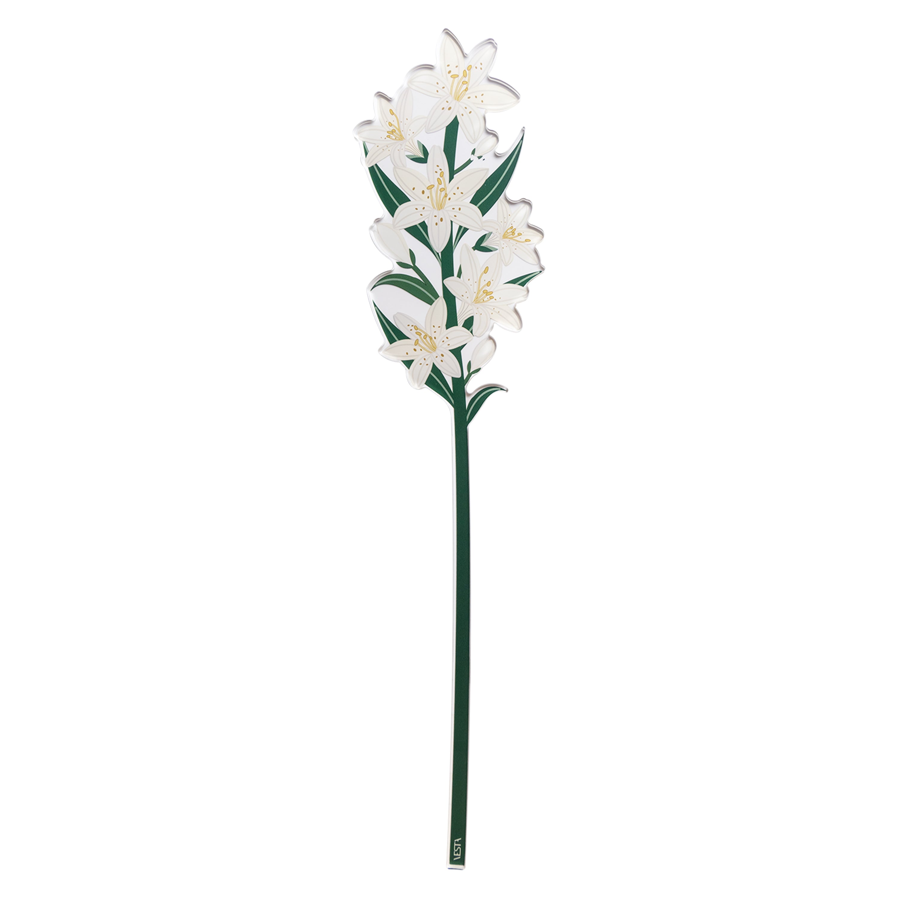 Large Single White Lily Funny Flowers