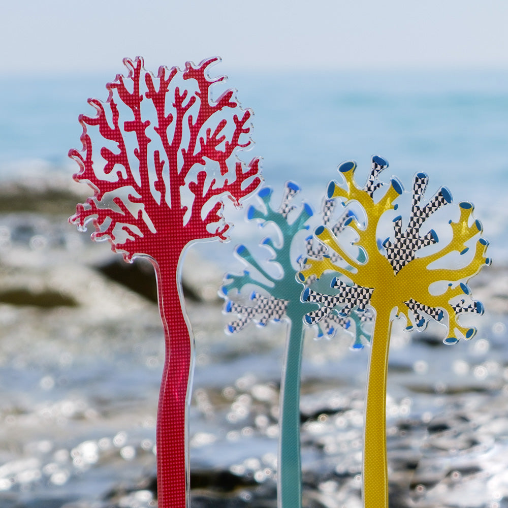 Small Single Mediterranean Coral