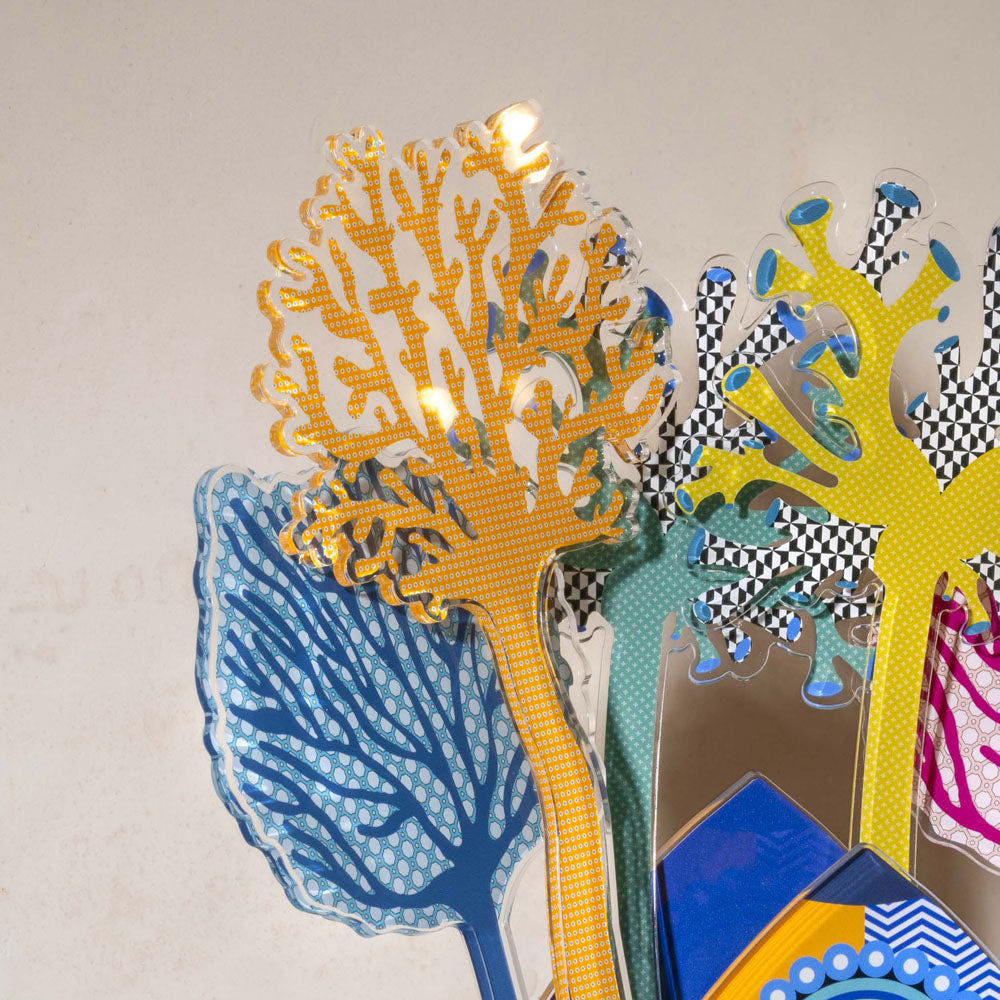 Large Single Mediterranean Coral