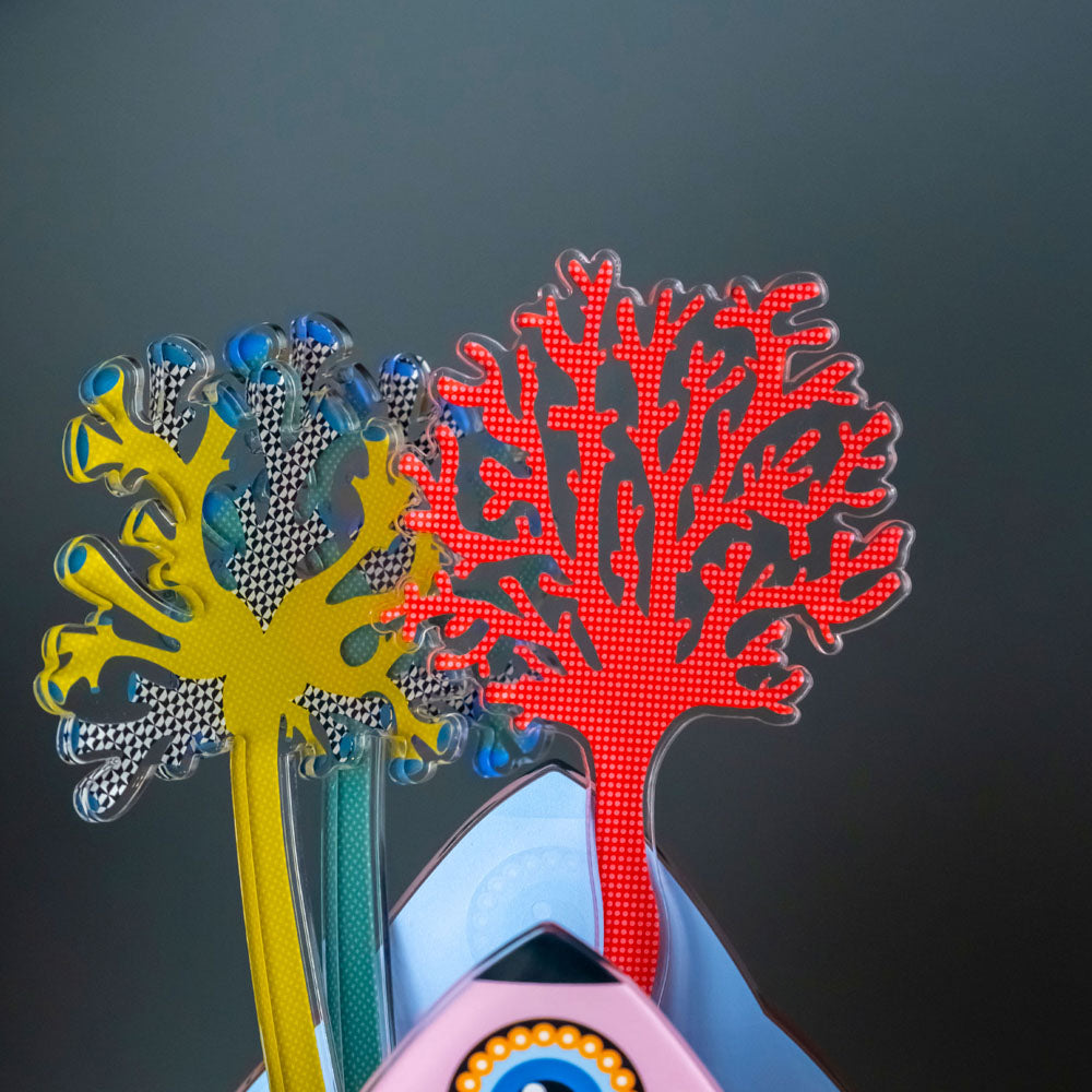 Large Single Mediterranean Coral