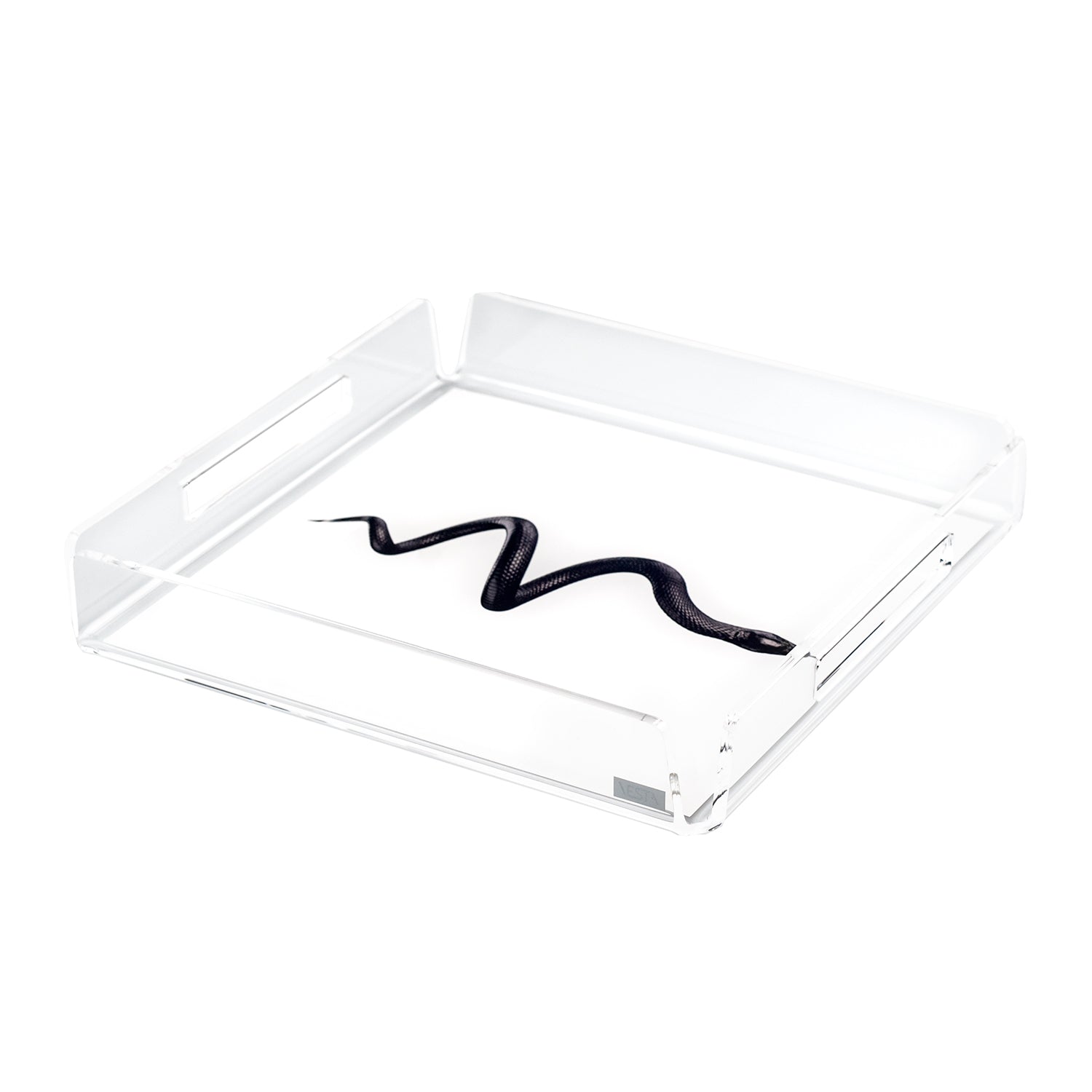 Mini Square Tray Like Water