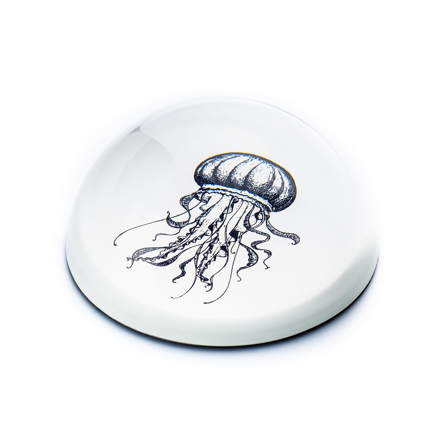 Single Paperweight Stone