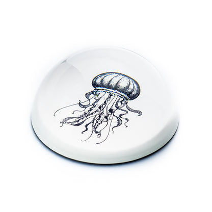 Single Paperweight Stone