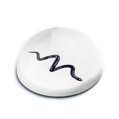 Single Paperweight Stone