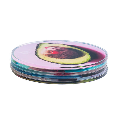 Set Of 6 Coaster Heffernan