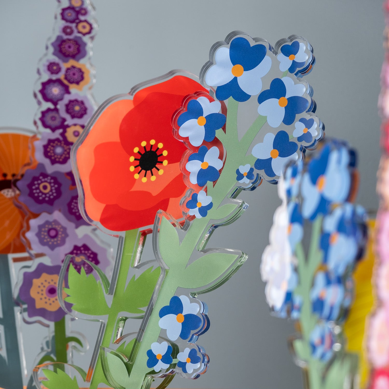 Large Single Forget-Me-Not Funny Flowers