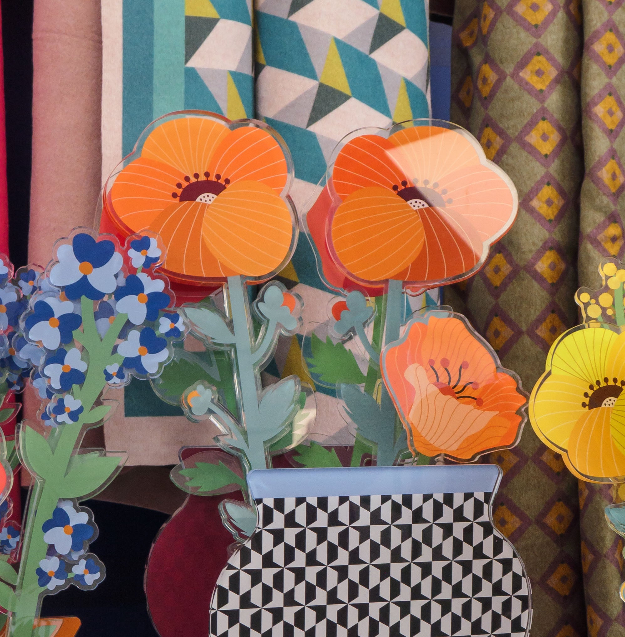 Gardenia Single Large Funny Flowers