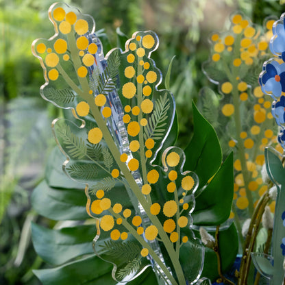 Mimosa Single Large Funny Flowers