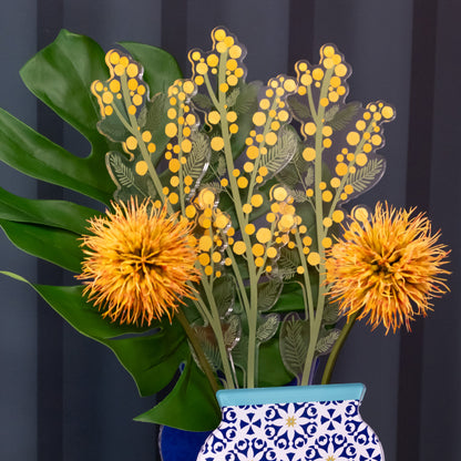 Mimosa Single Large Funny Flowers