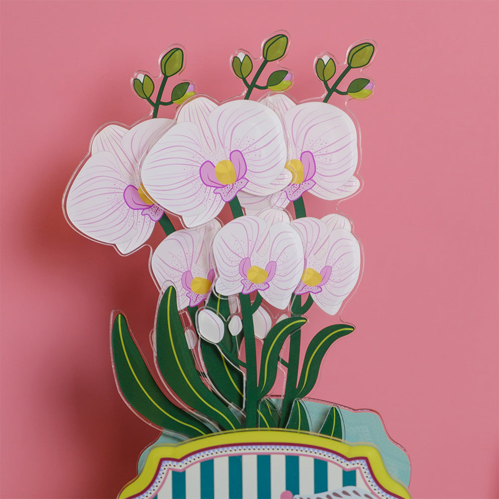 Small Single Orchid Funny Flowers