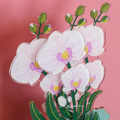 Large Single Orchid Funny Flowers