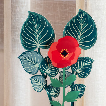 Small Single Green Maranta Leaf Funny Flowers