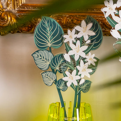 Small Single Green Maranta Leaf Funny Flowers