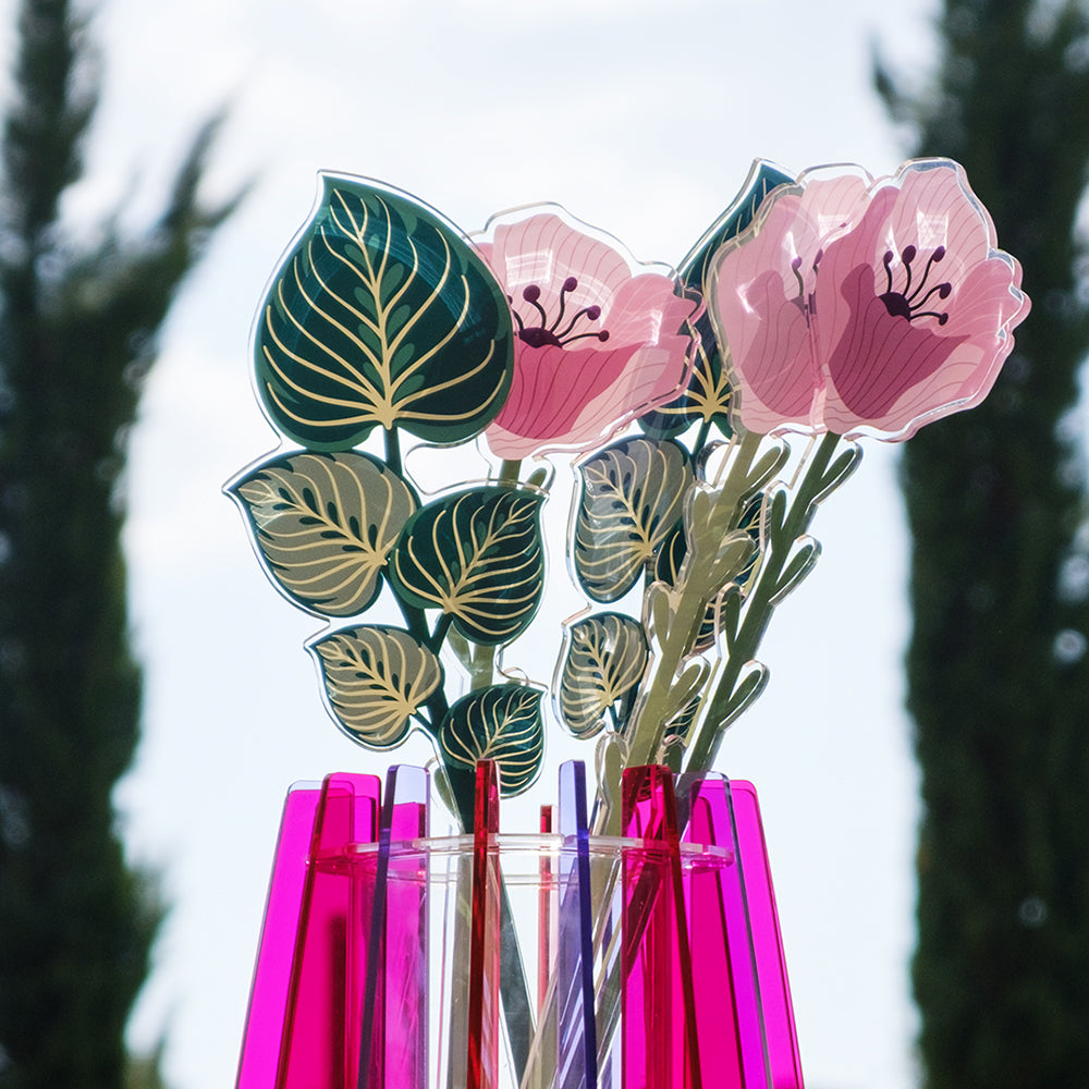 Maranta Verde Grande Funny Flowers