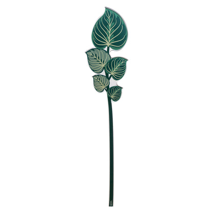 Maranta Verde Grande Funny Flowers