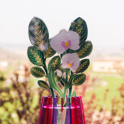 Calathea Leaf Small Funny Flowers