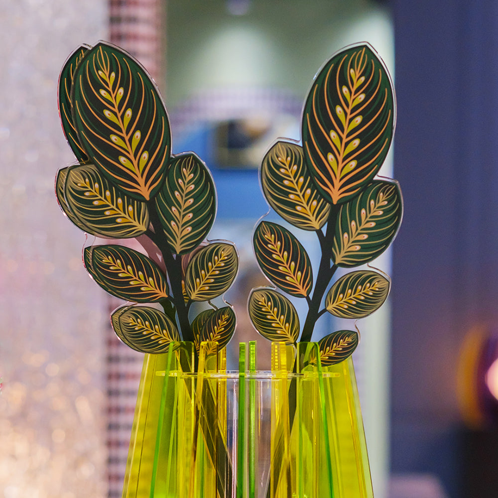 Calathea Leaf Large Funny Flowers