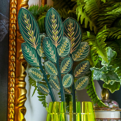 Large Single Green Calathea Leaf Funny Flowers