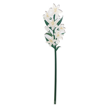 White Lily Small Funny Flowers