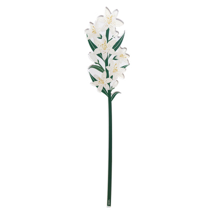 Large Single White Lily Funny Flowers