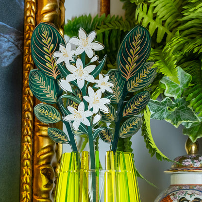 Large Single White Lily Funny Flowers