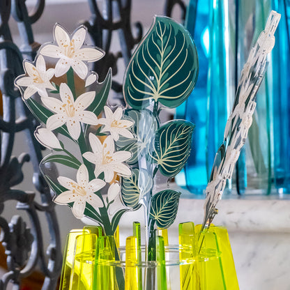 Large Single White Lily Funny Flowers