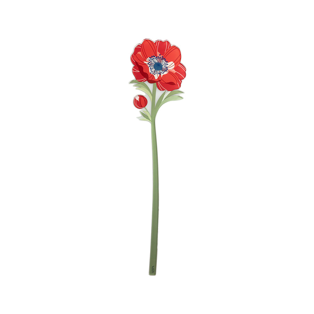 Small Anemone Funny Flowers