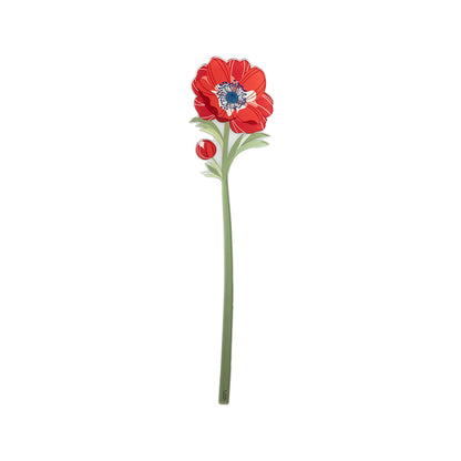Small Anemone Funny Flowers