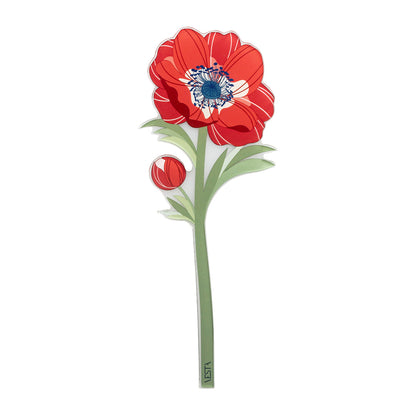 Anemone Special Moments