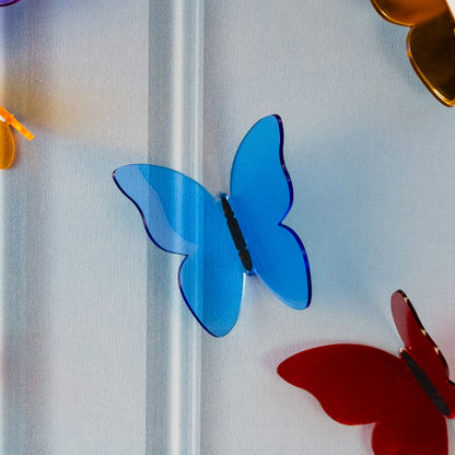 Butterfly Box Large/Medium/Small Blue