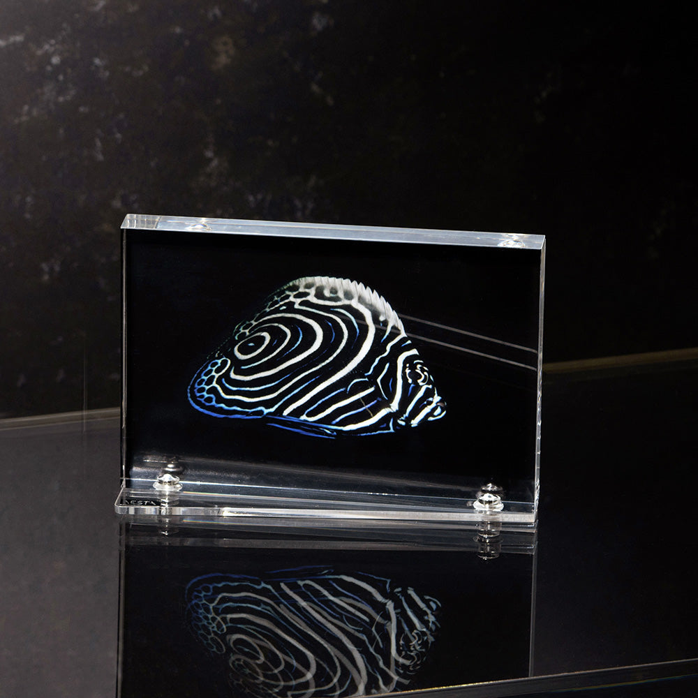 Block Small Photo Frame