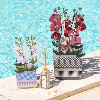 Livinia Orchid Fragrance Diffuser 500 ml