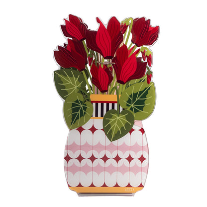 Cyclamen Fragrance Diffuser 100 ml
