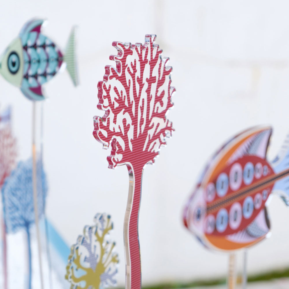 Large Single Mediterranean Coral