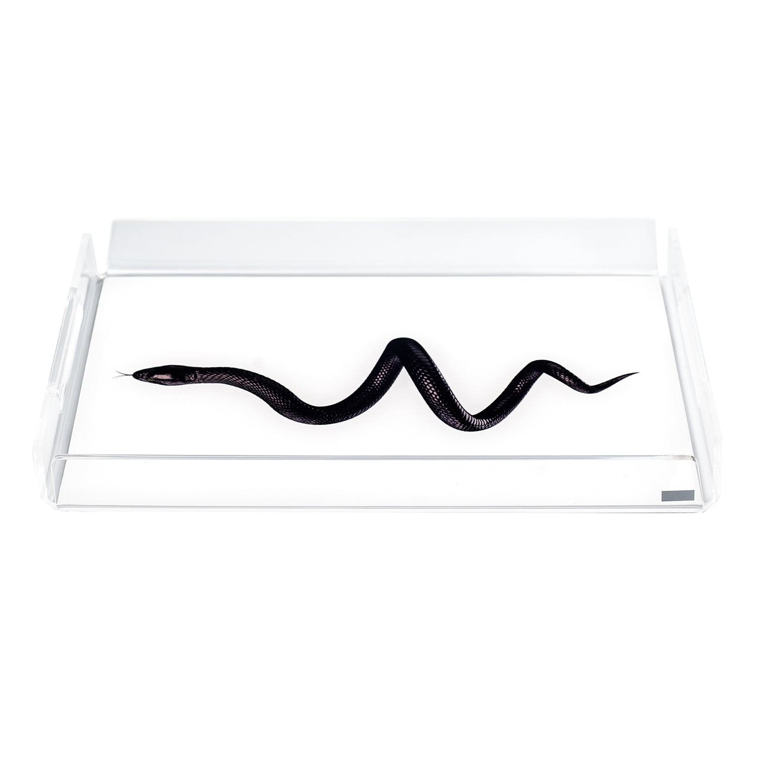 Small Tray Like Water