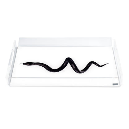 Small Tray Like Water